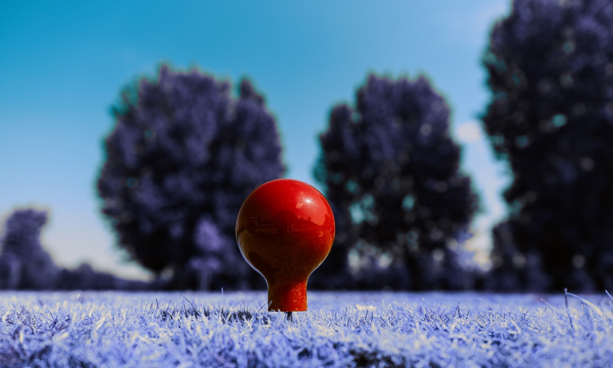 Nature At Wyboston Lakes (12)