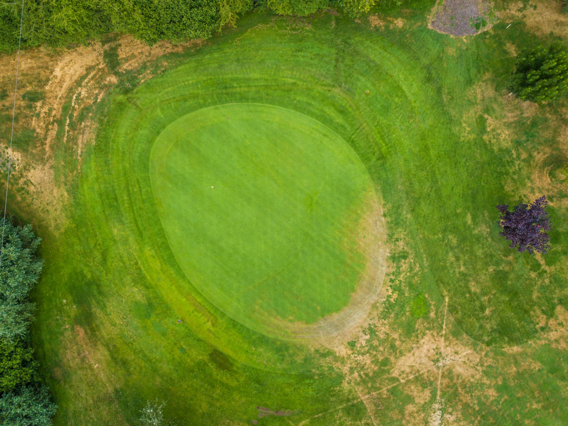 aerial view of green golf putting green surrounded by grass