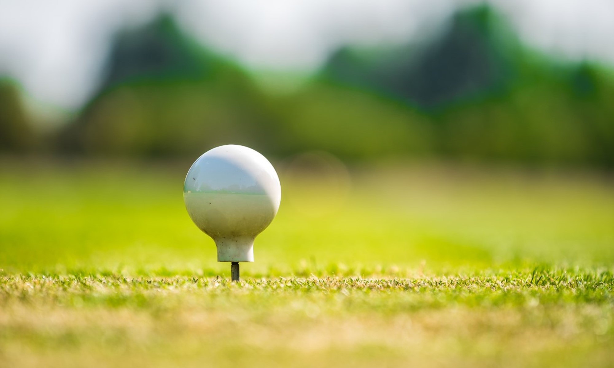 Bedfordshire Golf Course (2)
